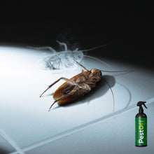 Cargar imagen en el visor de la galería, Insecticida PEST OFF